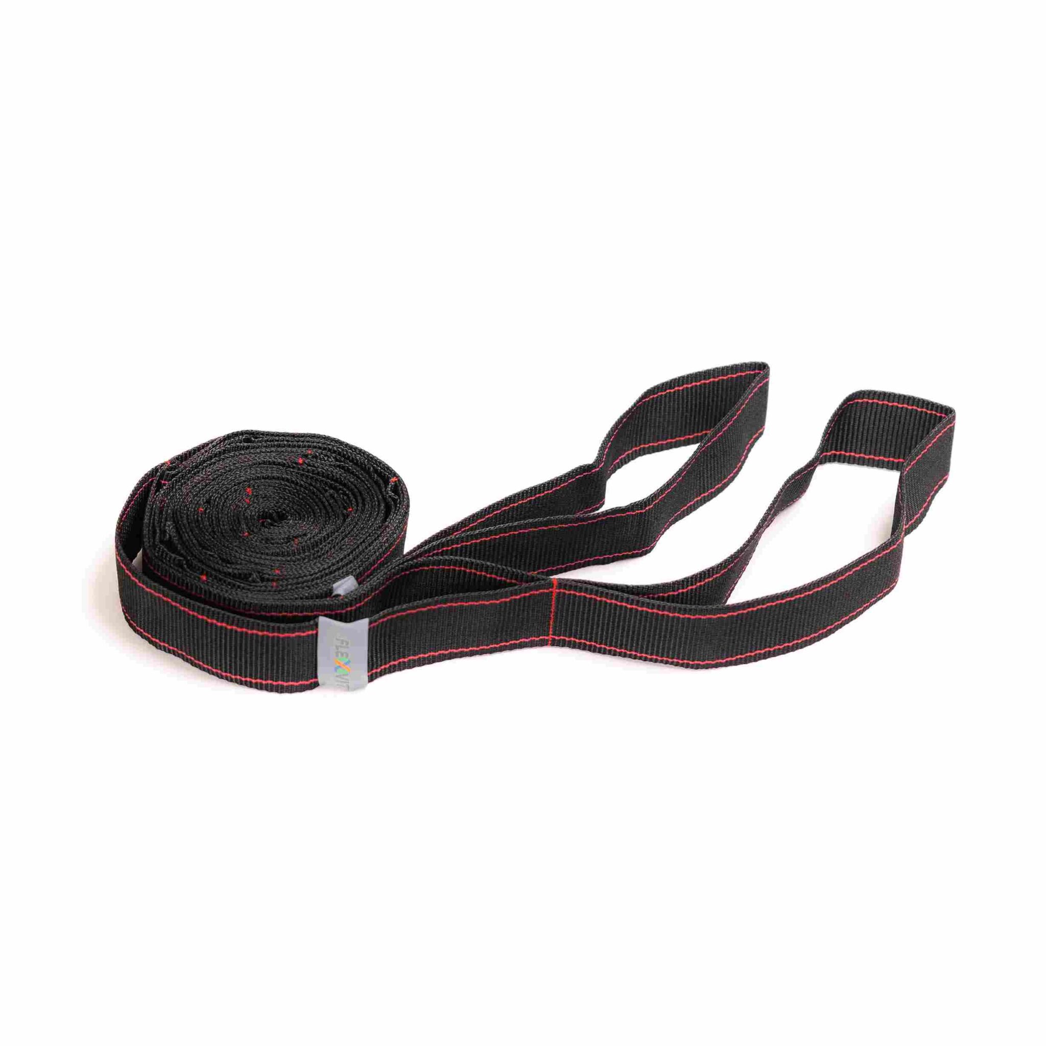 FLEXVIT Iso Iberian Sportech